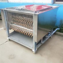 市场屠宰鸡脱毛机 高效环保的屠宰设备解决方案